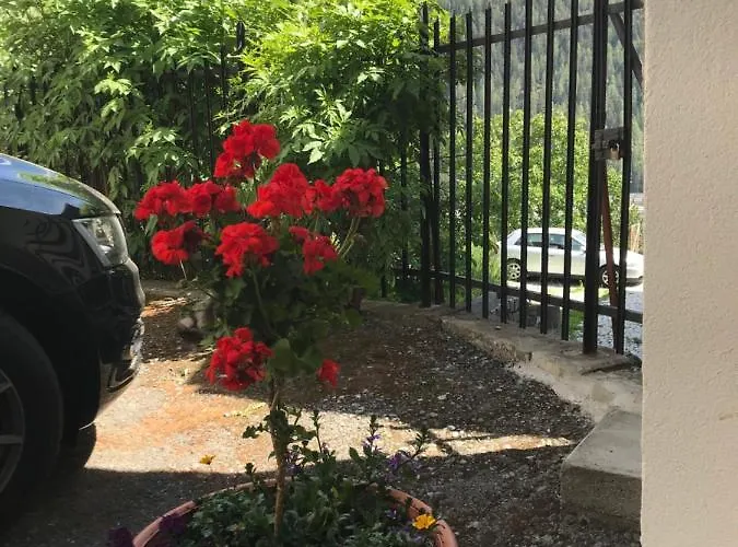 アパートホテル B ＆ B ＆ チャザー ヴァリア シュクオル